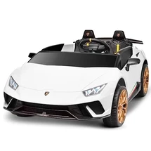 Двухместный детский электромобиль M 5020 EBLR-1 (24V), Lamborghini