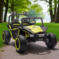 Детский электромобиль багги M 6207 EBLR-5 (24V) двухместный, зеленый