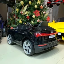 Детская машина электромобиль Audi M 4806 EBLR-2, черная фото 44