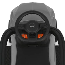 Детская каталка - толокар M 6252 EL-11 серая, Bentley, родительская ручка фото 55