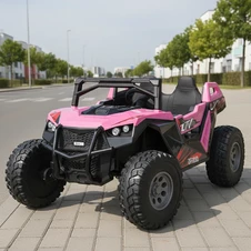 Двухместный детский багги M 6291 EBLR-8 (24V), 4 мотора, розовый