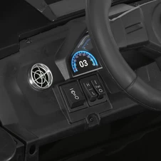 Двухместный детский электромобиль M 6291 EBLR-2 (24V) багги, 2 аккумулятора, черный фото 99