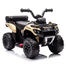 Детский электроквадроцикл M 6286 EBLR-13 с пультом управления, бежевый фото 55