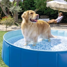 Складной бассейн для собак Intex 48400, 152 х 30 см. фото 11