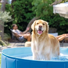 Складной бассейн для собак Intex 48400, 152 х 30 см. купить
