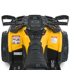 Детский электрический квадроцикл M 6080 EBLR-6 желтый, 4 мотора, пульт управления фото 99