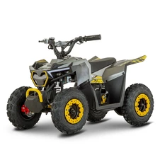 Подростковый квадроцикл Prof1 HB-FFG1000-2-5 черно-зеленый три аккумулятора 12V/12Ah