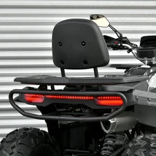 Двухместный бензиновый квадроцикл AFB200L-19 карбон с двигателем 180 кубов фото 18