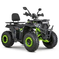 Двухместный бензиновый квадроцикл AFB200L-19 карбон с двигателем 180 кубов купить