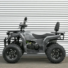 Двухместный бензиновый квадроцикл AFB200L-19 карбон с двигателем 180 кубов фото 44
