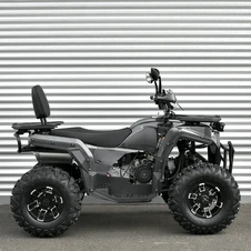 Двухместный бензиновый квадроцикл AFB200L-19 карбон с двигателем 180 кубов фото 55