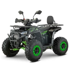 Бензиновый квадроцикл AFN125-2-5(MP3) черно-зеленый сиденье со спинкой
