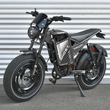 Электрофэтбайк Prof1 Ghost 20д. GS-2001 черный с двигателем 1000 Вт купить