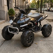Детский квадроцикл на аккумуляторе M 6242EL-2(24V) черный