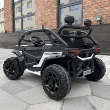 Детский электромобиль багги M 6481EBLR-1(24V) двухместный белый фото 33